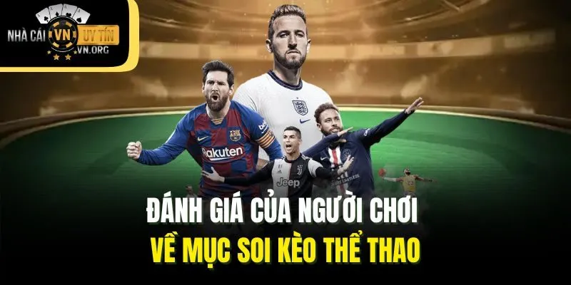 Đánh giá của người chơi về mục soi kèo thể thao