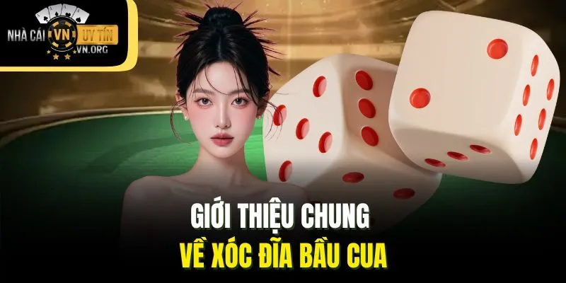 Giới thiệu chung về xóc đĩa bầu cua
