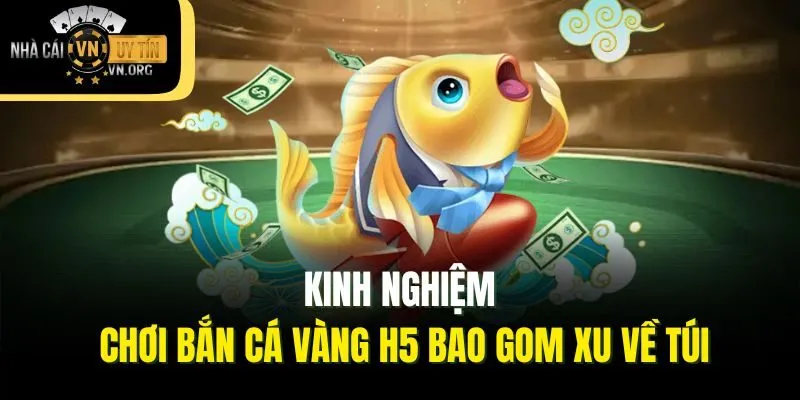 Kinh nghiệm chơi bắn cá vàng H5 bao gom xu về túi